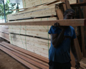 Best Timber in Sri Lanka Greenwood Enterprises (Pvt) Ltd